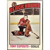 Image 1 : 1976-77 O-PEE-CHEE TONY ESPOSITO (HOF)