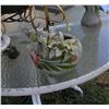 Image 1 : Painted earthenware planter