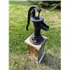 Image 4 : Cast Iron Water Pump