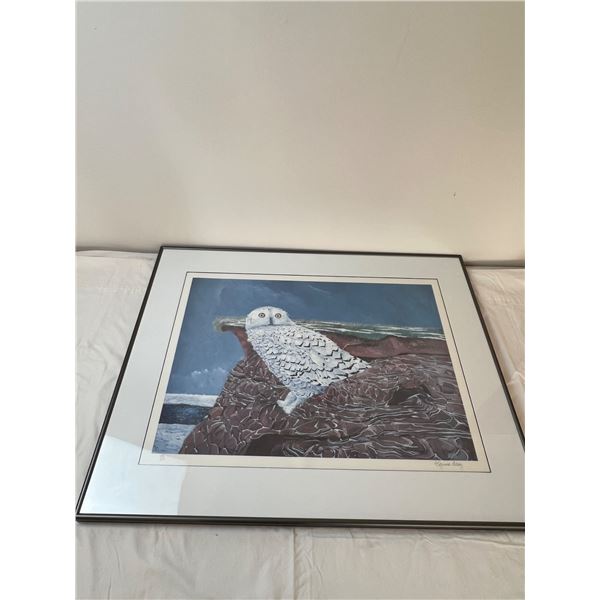 Snowy Owl Artwork