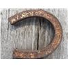 Image 4 : Horseshoes