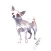 Image 1 : Artist John Krewal signed dog print