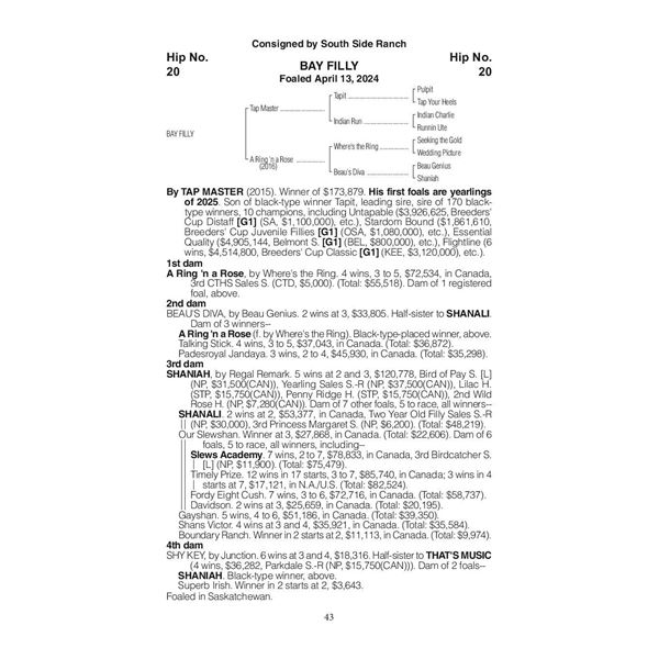 2024 A Ring 'n a Rose