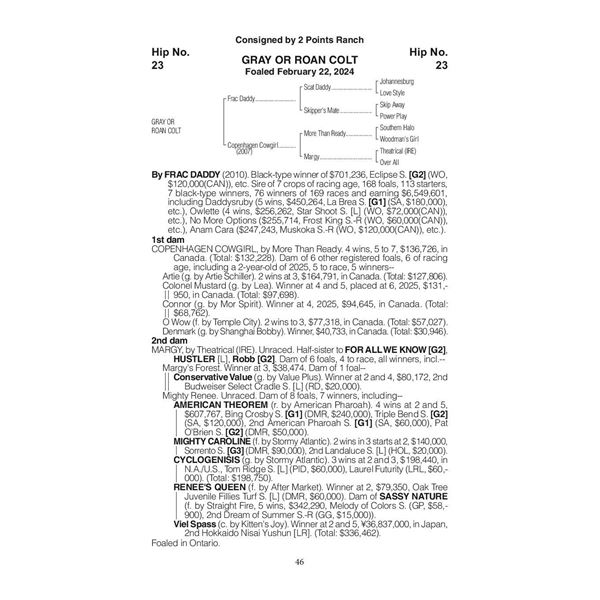 2024 Copenhagen Cowgirl