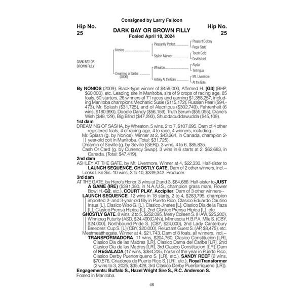 2024 Dreaming Of Sasha