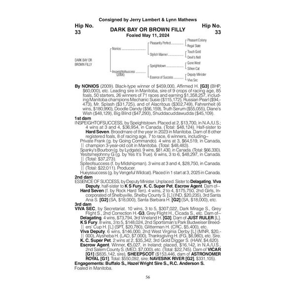 2024 Inspeightofsuccess