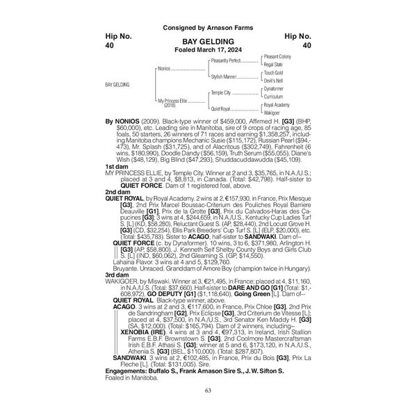 2024 My Princess Ellie