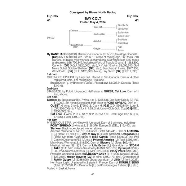 2024 Queenofthepulpit