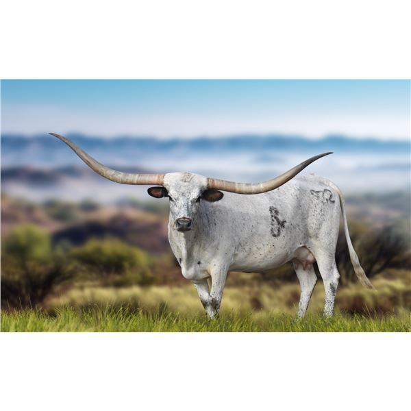 RJF Cha-Ching Cowgirl