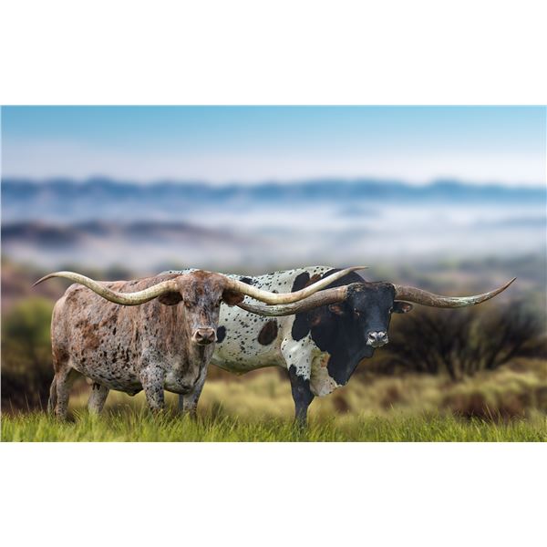 IRONMAN HR X WS SADE HF PREGNANCY