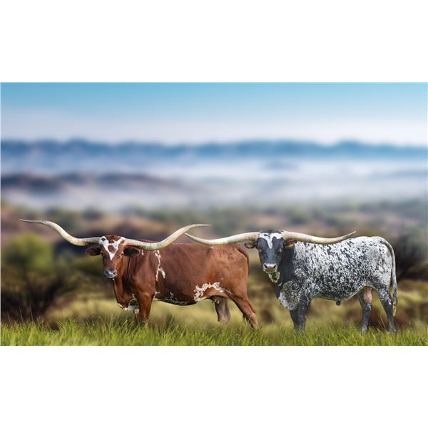 REBEL HR X AWESOME STAR