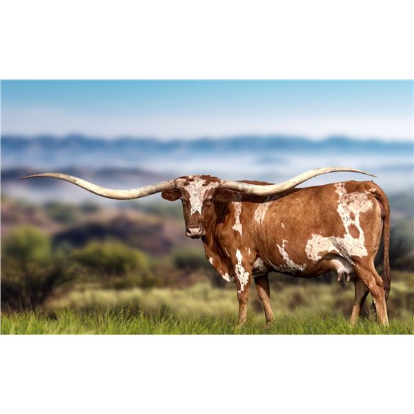 FULL SISTER TO 3S DANICA