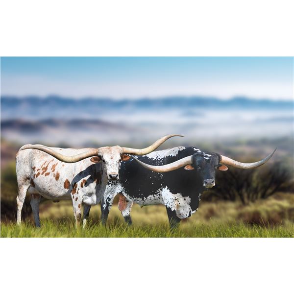 HUBBELLS 20 GAUGE X RM OK LADY PAT 555