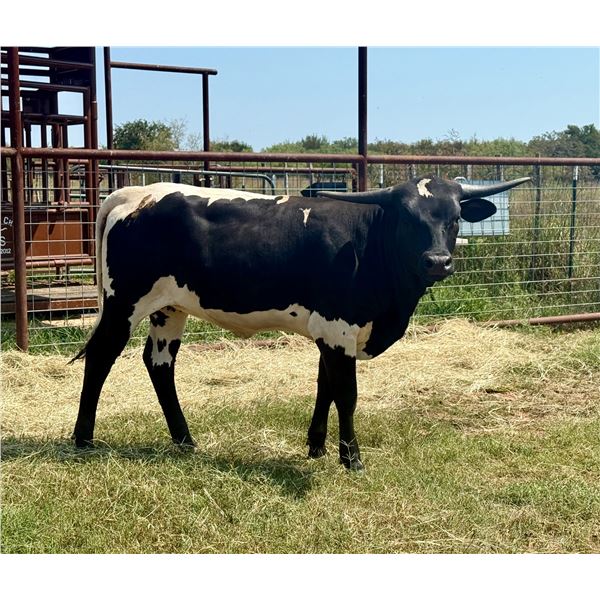 SUB LOT - JM5 PERFECT MISTAKE