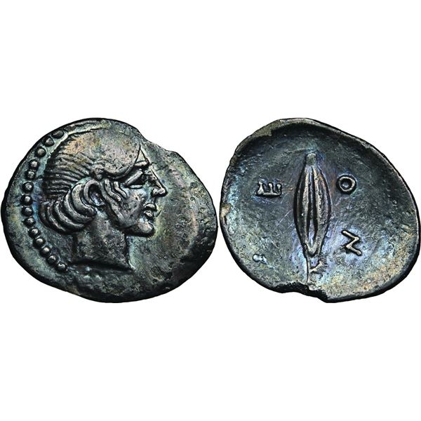 Leontini Litra, vers 450-430 av. J.C., AG 0,50 g.  Avers : Tête laurée d'Apollon à droite Revers : [