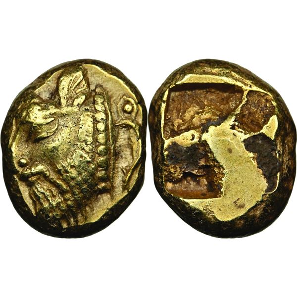 Phocée EL Hekte, vers 521-478 av. J.C., electrum 2.57 g.   Avers : Tête cornue du dieu fleuve à gauc