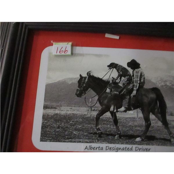 FRAMED "ALBERTA DESIGNATED DRIVER" PICTURE