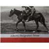Image 2 : FRAMED "ALBERTA DESIGNATED DRIVER" PICTURE