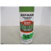 Image 1 : RUSTOLEUM GREEN REBAR PAINT (340G) - CAN