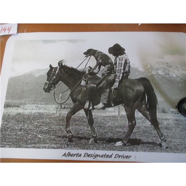 ALBERTA FRAMED "DESIGNATED DRIVER" PICTURE