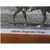 Image 3 : ALBERTA FRAMED "DESIGNATED DRIVER" PICTURE