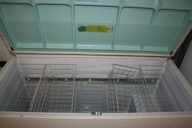 Sears Cold Spot Chest Freezer