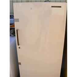 GE Upright Freezer