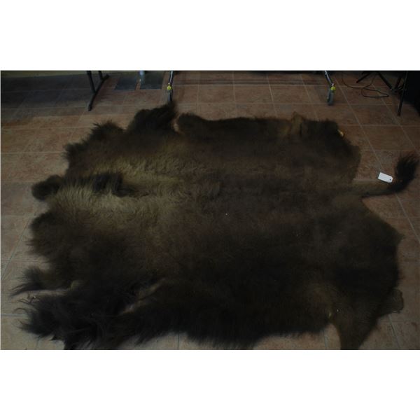 Large Buffalo Hide (
