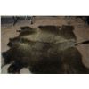 Image 1 : Large Buffalo Hide (#2)