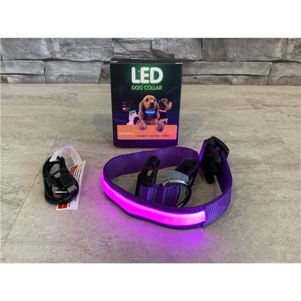 Medium MASBRILL Light-Up Purple LED Dog Collar - Rechargeable