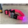Image 2 : Small MASBRILL Light-Up Pink LED Dog Collar - Rechargeable