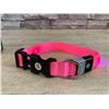 Image 4 : Small MASBRILL Light-Up Pink LED Dog Collar - Rechargeable