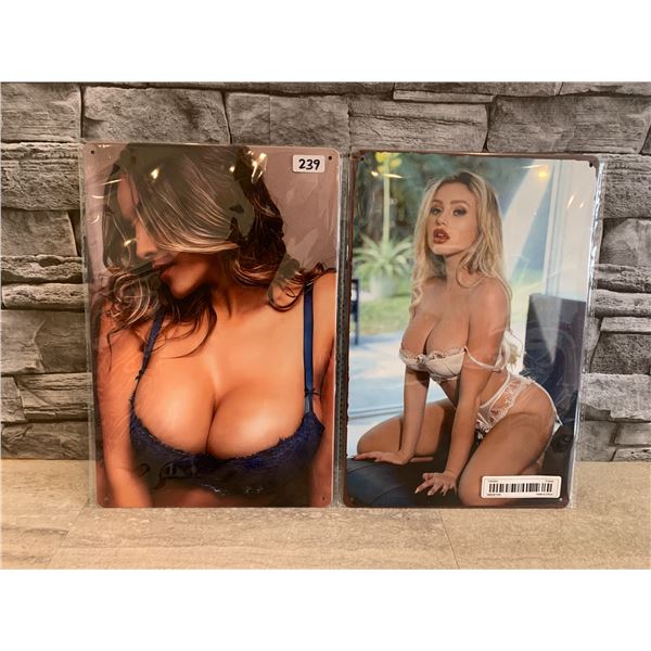 Lot of 2 Risque Metal Tin Wall Hanger 8in x 12in