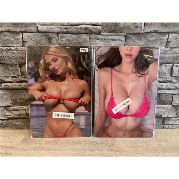 Lot of 2 Risque Metal Tin Wall Hanger 8in x 12in