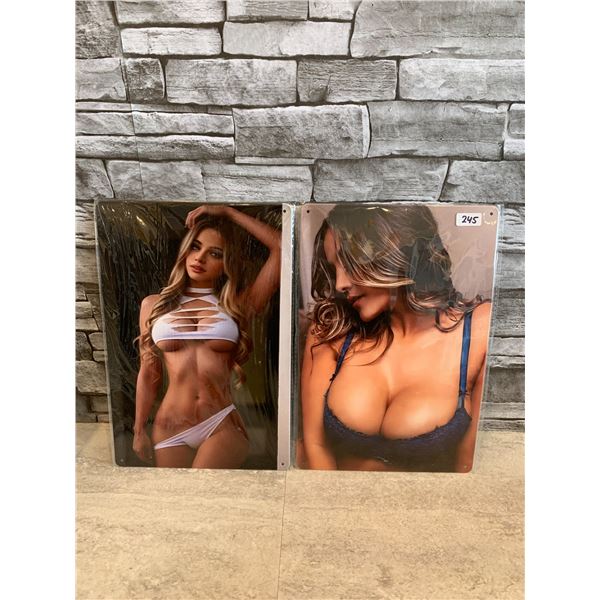 Lot of 2 Risque Metal Tin Wall Hanger 8in x 12in