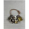 Image 2 : Lot of Small Padlocks with Keys