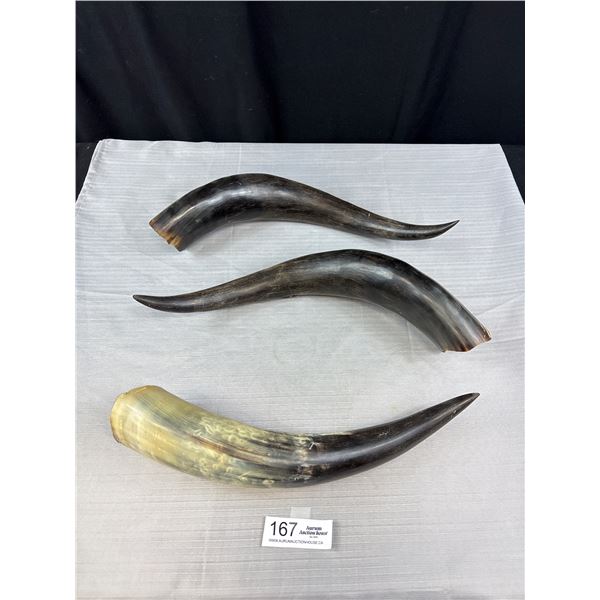 Lot of 3 Old Antlers/Hollow Steer Horns