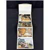 Image 2 : 2 Fold Out Postcards Grouse Mnt. + Stanley Park 1950's-60's