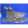 Image 1 : 6 Vintage Canada Goose Ground Decoys - Boxcraft Canada