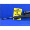 Image 4 : Non-Restricted - Ruger Model 10/22 in 22 LR