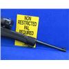 Image 8 : Non-Restricted - Ruger Model 10/22 in 22 LR