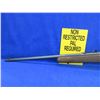 Image 4 : Non-Restricted - Savage Model 93 in 22 WMR