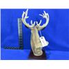 Image 2 : Resin Mule Deer Statue - Approx 14" H x 8" W x 6 1/2" D