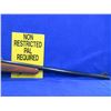 Image 8 : Non-Restricted - Winchester Model 70 XTR Sporter in 300 Wby Mag