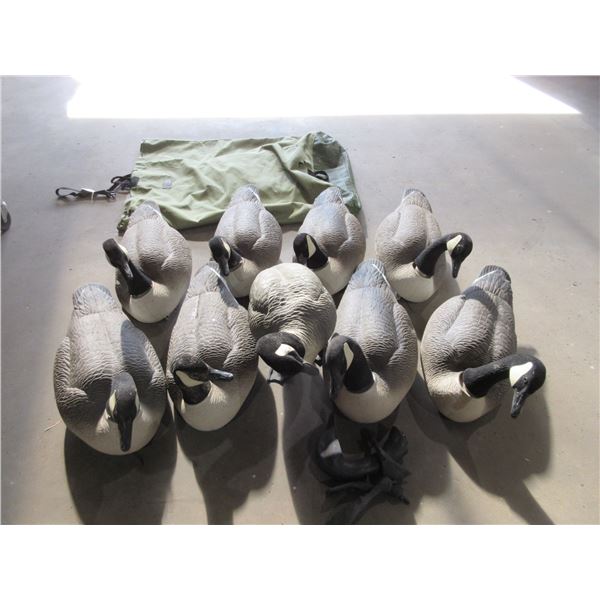 8 Bigfoot & 1 FA Brand Canada Goose Decoys - PICK UP ONLY