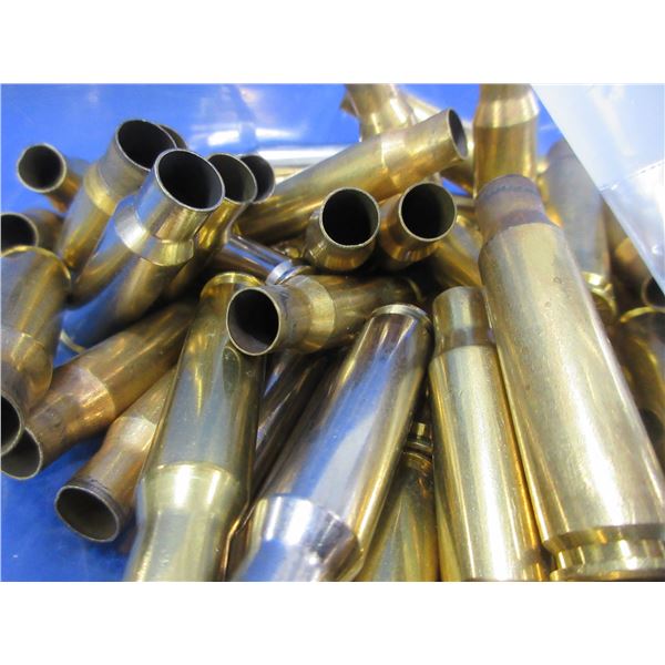 Brass Only - 308 Win. Unprimed - Bag of 50