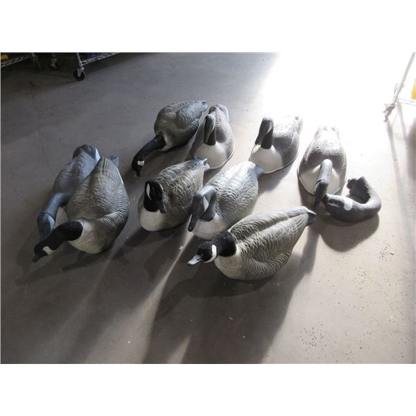 9 Large Canada Goose Decoys - FA Brand, Etc. - PICK UP ONLY