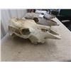 Image 3 : 3x  Cattle Skulls 