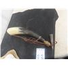 Image 2 : Powder Horn + Cattle Jaw Bone