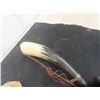 Image 4 : Powder Horn + Cattle Jaw Bone
